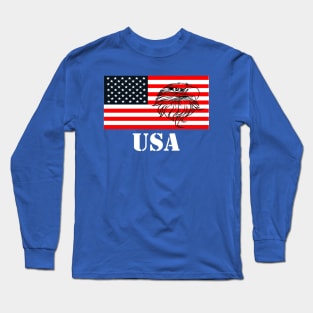 American Flag with Bald Eagle and USA logo Long Sleeve T-Shirt